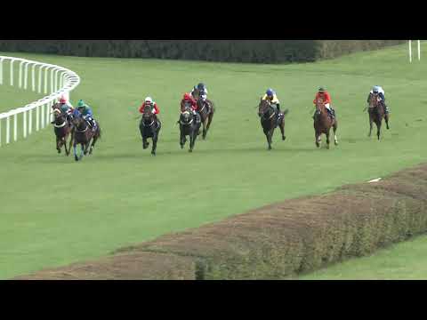 2020.10.18. 02. futam - TATTERSALLS – OVERDOSE DÍJ (HUN Gd-2) (NGL-IX.)