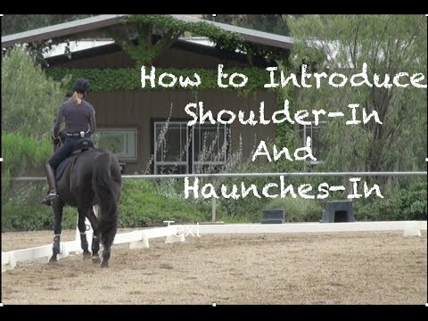 download lagu mp3 mp4 Haunches In Dressage, download lagu Haunches In Dressage gratis, unduh video klip Haunches In Dressage