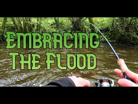 When the River Rises: Fishing a Flooded Irish Stream for Wild Brown Trout