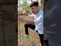 Insta Viral Reels Attitude Dialogue Whatsapp Status Instagram Top Reels