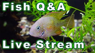 Fish-Keeping Q&amp;A! Bring All Your Questions!