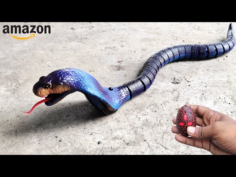 Remote Control Snake Unboxing || RC Snake Looks Real 😲😲#unboxing#snake