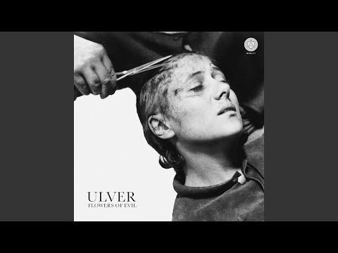 Video thumbnail for Machine Guns and Peacock Feathers