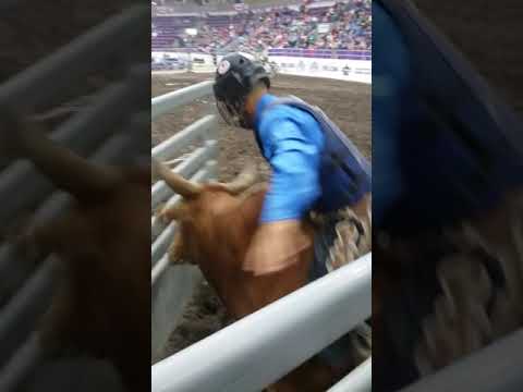 PBR Elmira New York Shawn Best II