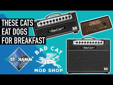 Best of Show from Bad Cat! | Hot Cat 50 & Purepath | #thoNAMM26