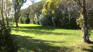 ♥ "The Green, Green Grass of Home"