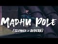 Madhu Pole  | slowed reverb | Sid Sriram | Aishwarya Ravichandran | lyricsvideo