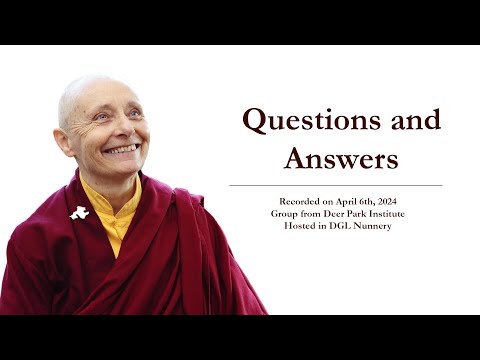 Questions and Answers - DGL Nunnery - April 6th, 2024