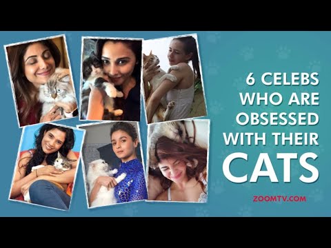 Alia Bhatt, Jacqueline and other B-Town Celebs with their pet cat | International Cat Day 2019