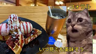 仕事後に友達とワッフル食べに行った話【猫ミーム】【猫マニ】