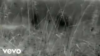 Naked Truth - Black