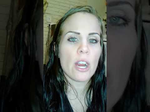 9 Lives cat food vs Rachael Ray zero grain review