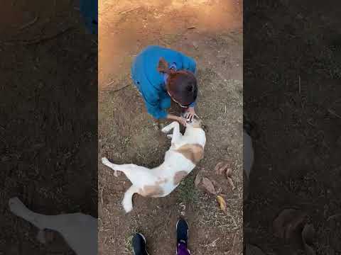 Ranya being checked by her vet