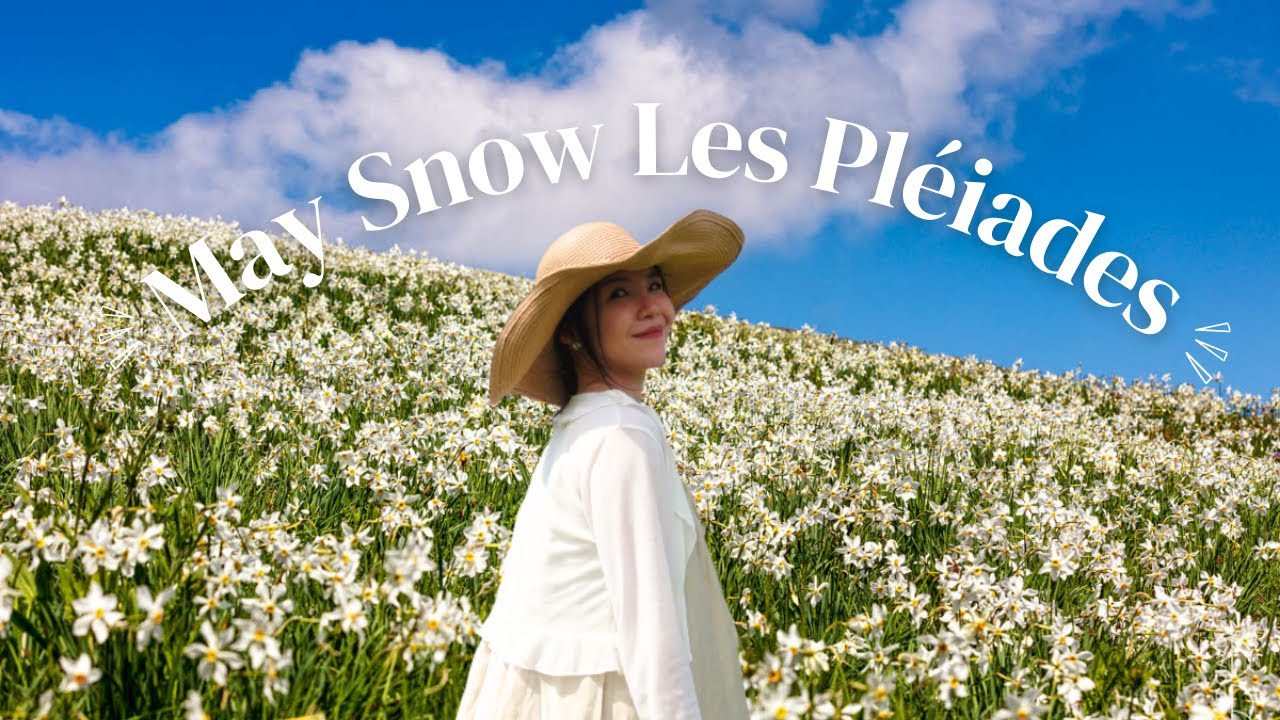 Enjoy a peaceful walk surrounded by the delicate beauty of blooming narcissus flowers.