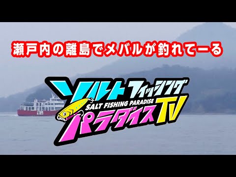 瀬戸内の離島でメバルが釣れてーる（ソルパラTV・第19回2021年2月4日放送）