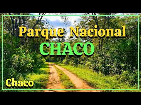 Parque Nacional CHACO (Visito un PUEBLO del Interior Chaqueño y nos Internamos en el CHACO HUMEDO)