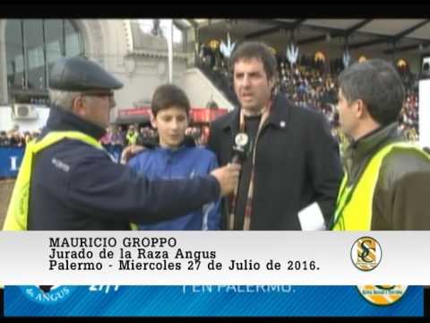 27-07-16 Nota Mauricio Groppo - Jura Terneros/as Angus. - Palermo 2016.