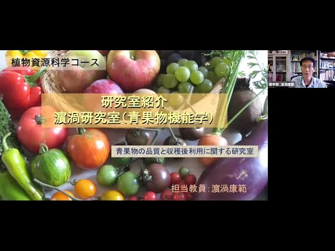 農学生命科学科 【農学部】濱渦康範教授（青果物機能学研究室）2021オープンラボ動画