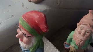 Video 3 trigger image