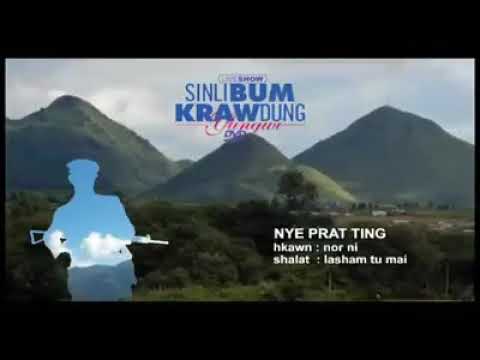 Nye prat ting ( Nor ni )