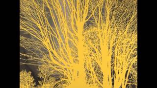 Nada Surf - The Moon Is Calling