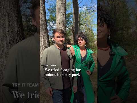 We tried foraging for onions in a city park