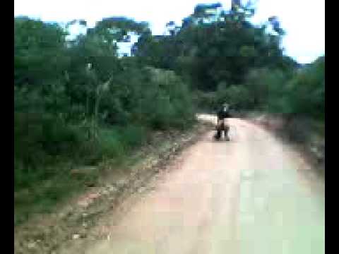 esbarrada dos cavalo do charles-canguçu-lazinho