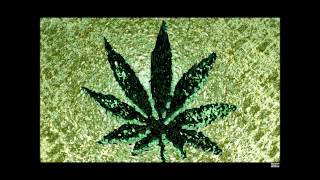 puff puff pass - young buck.