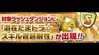 【パズドラ】スミスさん遅延たまドラ周回