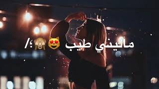 سيف نبيل - حبني بجنون 2019 مع الكلمات 😻🙊