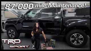 Starting ANOTHER Tacoma Project! (Buying a Used Gen 3 Tips + First DIY Maintenance)