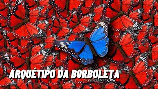 Arquétipo da Borboleta | Significado da Borboleta | Animal de Poder