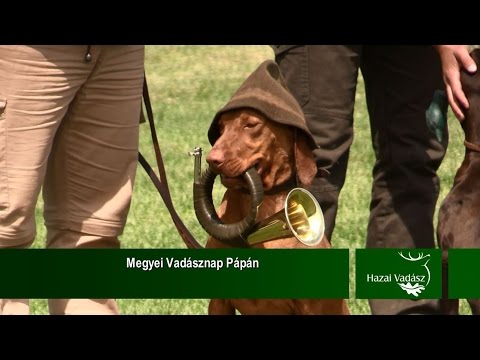 HAZAI VADÁSZ TV Magazin – 2015. június 7-i adás