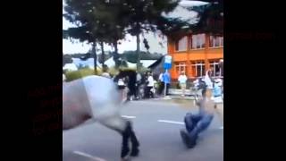 Kicked on the head by horse