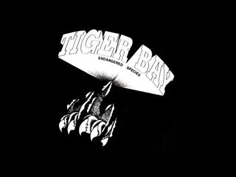 Tiger Bay - Destruction