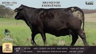 LOTE 7  3192