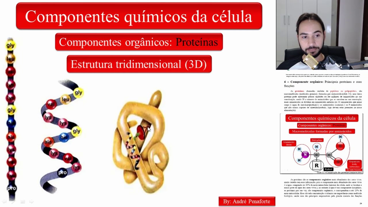 12 - Bioquímica - Proteínas - Estrutura tridimensional