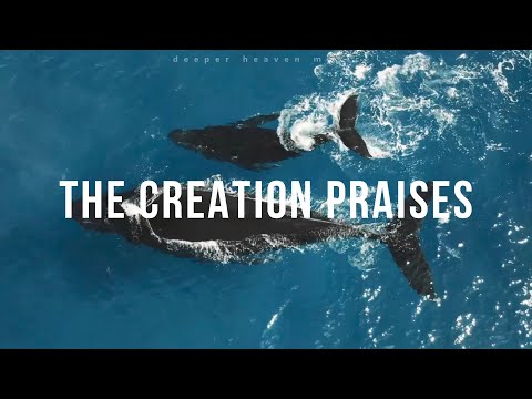 The Creation Praises - Spontaneous Instrumental #20 / Fundo Musical Espontâneo