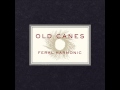 Old Canes - Little Bird Courage 