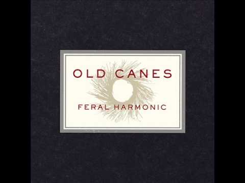 Old Canes - Little Bird Courage