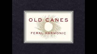 Old Canes - Little Bird Courage