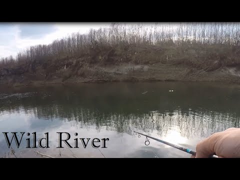 Lure fishing for Chub in November