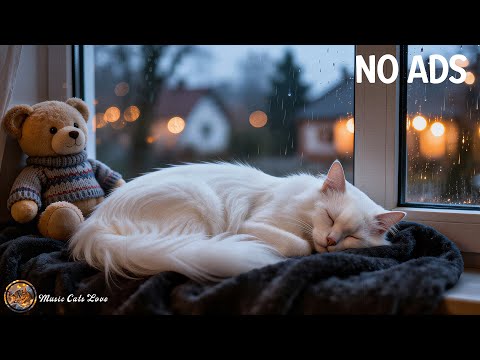 Deep Sleep Music For Cat 🐈 Soothing Sounds Reduce Anxiety & Calms Your Cat and Relaxation