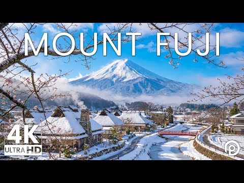 Piano Odyssey 4K and 2 more