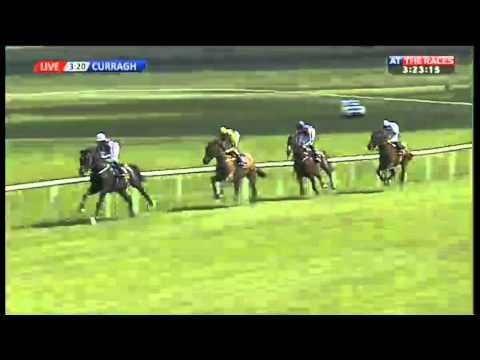 Tattersalls Gold Cup 2013