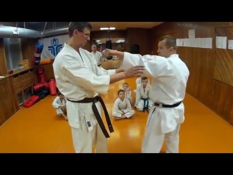 Uechi-ryu karate / JIYU-KUMITE / Free Sparing combinations 2