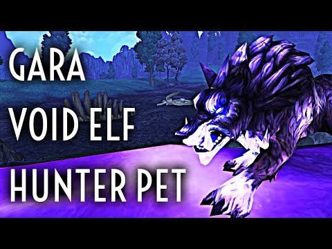 WoW Guide - Spirit Beast Gara - Void Elf Hunter Pet
