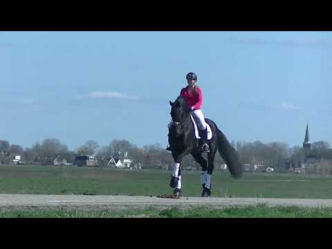 Stal Okkema's Rudmer