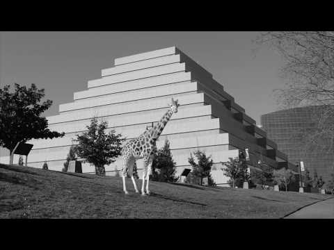 Greg Loiacono- Chamberlain's Trunk (Official Music Video)
