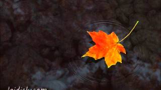 Download lagu Is There Someone Out There - Code Red mp3 Download lagu Is There Someone Out There - Code Red mp3